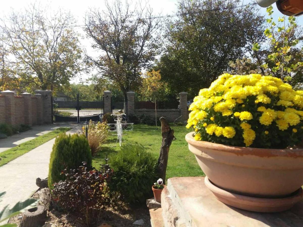 Rita Apartman & Studio Ζρένιανιν Εξωτερικό φωτογραφία