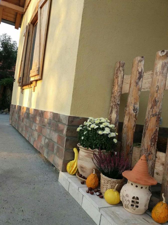 Rita Apartman & Studio Ζρένιανιν Εξωτερικό φωτογραφία
